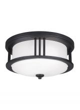 Generation Lighting 7847902EN3-12 - Crowell contemporary 2-light LED outdoor exterior ceiling flush mount in black finish with satin etc