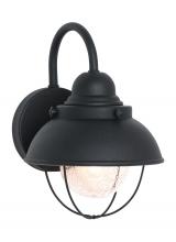 Generation Lighting 8870-12 - Sebring transitional 1-light outdoor exterior small wall lantern sconce in black finish with clear s
